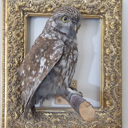 Bergland Hotel - Adults Only 3*