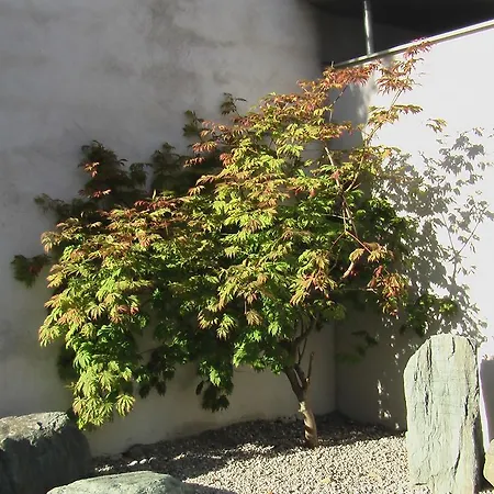 Hotel Bergland - Adults Only Solnohrad